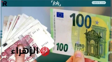 قفزة اليورو مقابل الدينار الجزائري تثير حركة مكثفة في سكوار للبيع والشراء